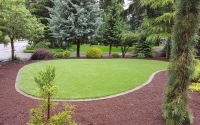 Maintaining your SYNLawn