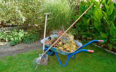 Spring & Summer Landscaping Tips