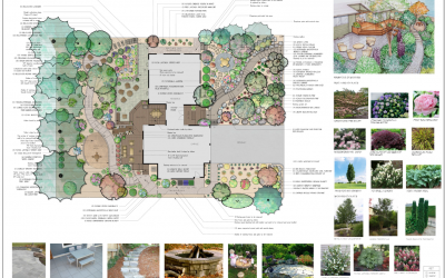 I’ve Hired a Landscape Designer, Now What? Making Sense of the Design Process