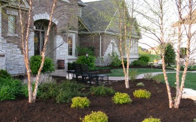Benefits of Using Mulch