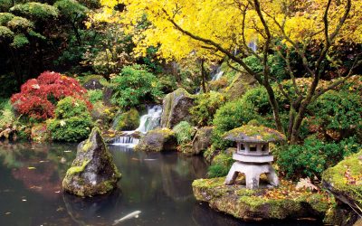 Key Elements for an Asian inspired Garden