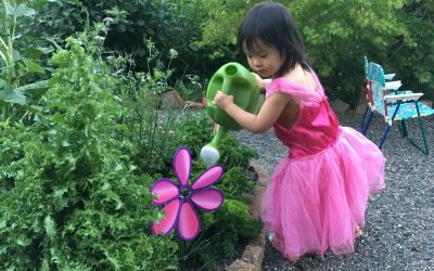 Creating a Kid-Friendly Garden… Without Breaking the Bank!