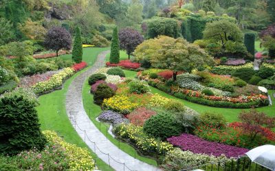 Gardening Palettes: Painting with Plants