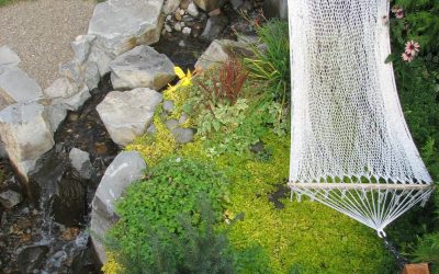 Creating an Outdoor Sanctuary, Right in Our Backyards