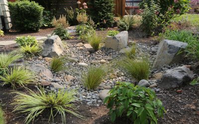 Lawn Be Gone! Five Alternatives to a Grassy Lawn