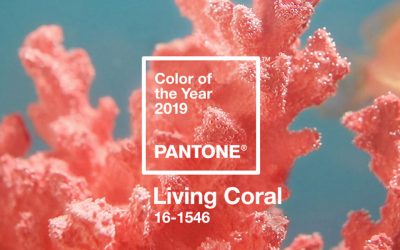 Adding Living Coral to your Garden