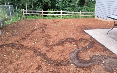 The Bark Dust Blues: Considerations for a New Backyard