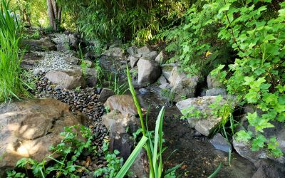 Is Your Backyard a Conservation Zone? The Reality of Developing in Environmentally-Sensitive Areas