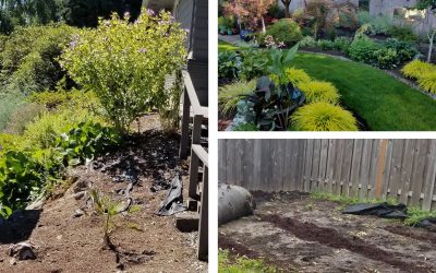 Dos and Don’ts of Landscape Fabric