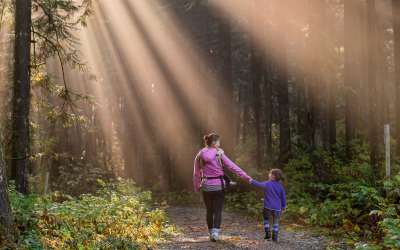 The Healing Power of Nature