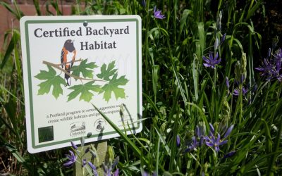 Get Backyard Habitat Certified!