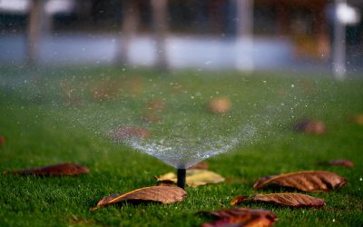 5 Problems With Sprinkler Systems