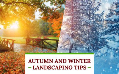 Autumn and Winter Landscaping Tips