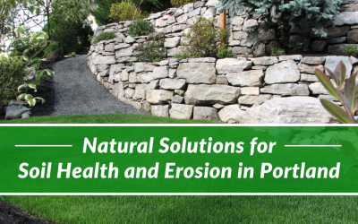 Natural Solutions for Soil Health and Erosion in Portland