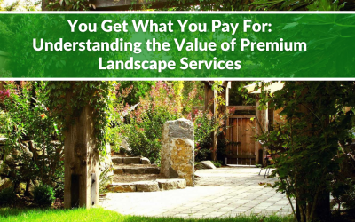 You Get What You Pay For: Understanding the Value of Premium Landscape Services