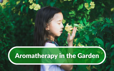 Aromatherapy in the Garden