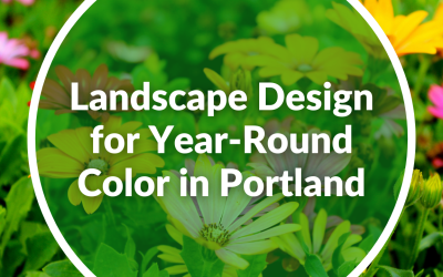 Landscape Design for Year-Round Color in Portland