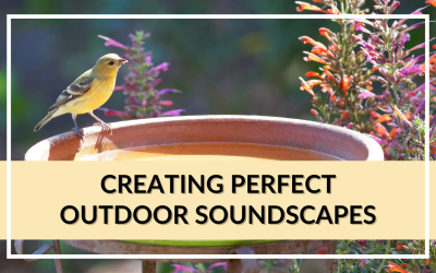 Landscape Design Tips for Creating Perfect Outdoor Soundscapes