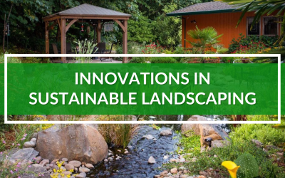 Innovations in Sustainable Landscaping
