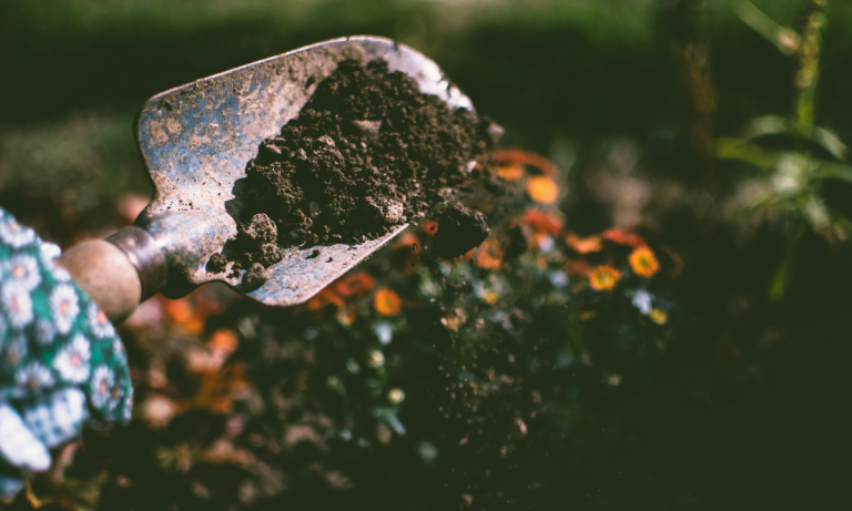 Soil Health and Erosion Control