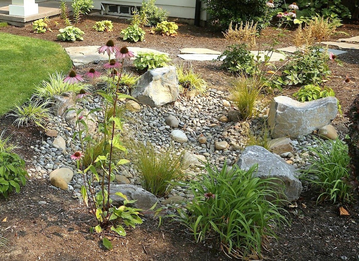 Neiger rain garden